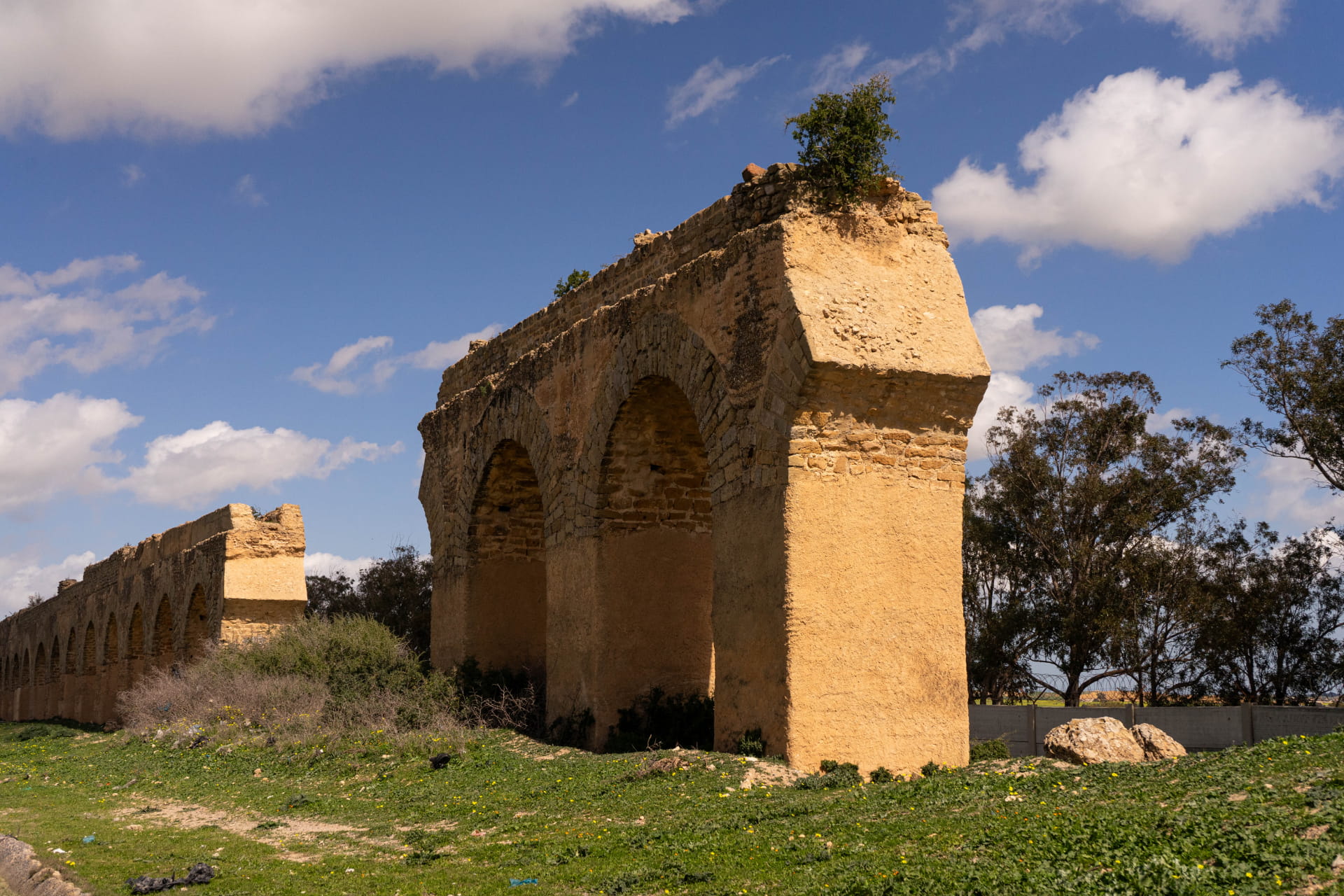 DSC09408_2